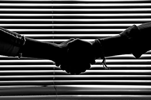What to Expect When You Partner with NPDM